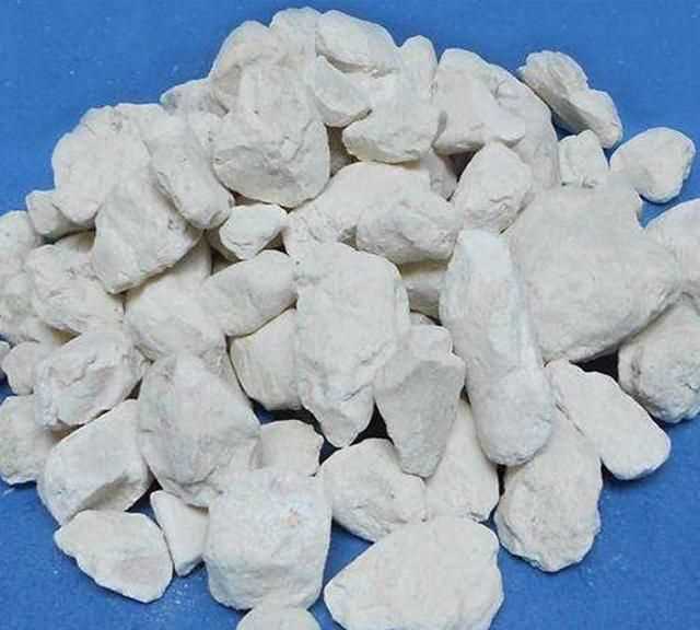 面粉長蟲子了怎么辦，買的面里面有小蟲子怎么辦？圖4