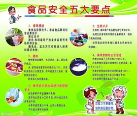 小學(xué)學(xué)校食品安全教育知識