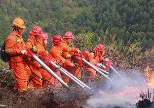 煉山用火安全知識(shí)