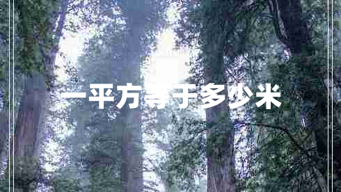 一平方等于多少米 一平方等于多少米