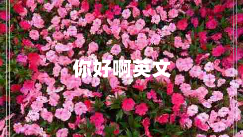 你好啊英文 你好啊英文