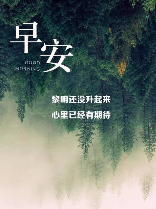 正能量人之所需的句子