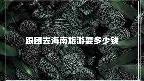 跟團(tuán)去海南旅游要多少錢(qián)