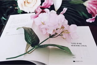 席慕蓉關于情感的詩句