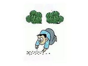 撿了芝麻丟了西瓜有關(guān)的古詩(shī)句