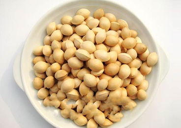 關(guān)于銀杏果的詩句較短,有關(guān)銀杏果的詩句,描寫銀杏果的詩句