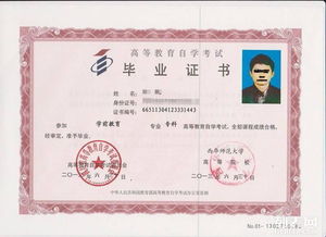 自考本科和網教有什么區(qū)別