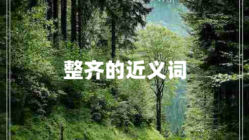 整齊的近義詞 整齊的近義詞