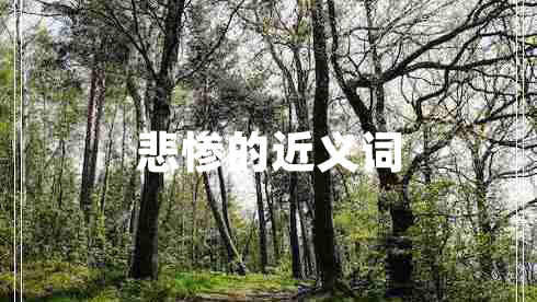 悲慘的近義詞 悲慘的近義詞