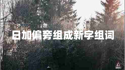 日加偏旁組成新字組詞 日加偏旁組成新字組詞