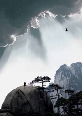 葉子的離開，并不是風(fēng)的追求，更不是樹的不挽