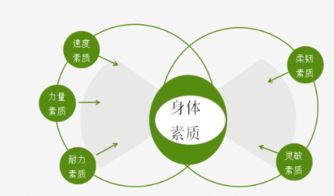 體育專(zhuān)業(yè)基礎(chǔ)知識(shí)總結(jié)